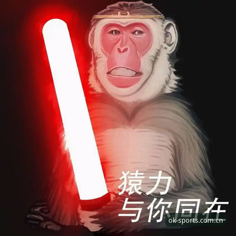 ok体育最新官网地址攻略 OK体育平台官方入口全攻略:找不到官网的深度分析与实用解决方案